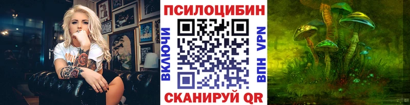 Галлюциногенные грибы Psilocybe  Избербаш 