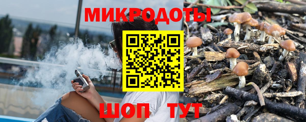 Галлюциногенные грибы Psilocybe Избербаш